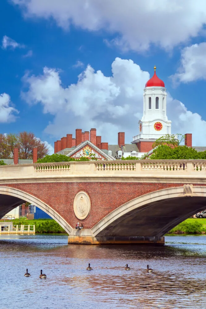Students collaborating on a college campus