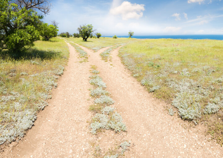 Forked road horizon with grass and blue sky.
